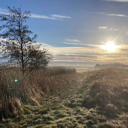 Lovely Close To The And Nature