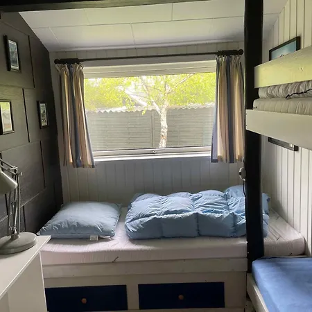 Lovely Close To The And Nature