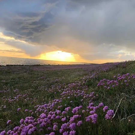 Lovely Close To The And Nature Casa vacanze *