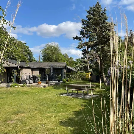 Lovely Close To The And Nature